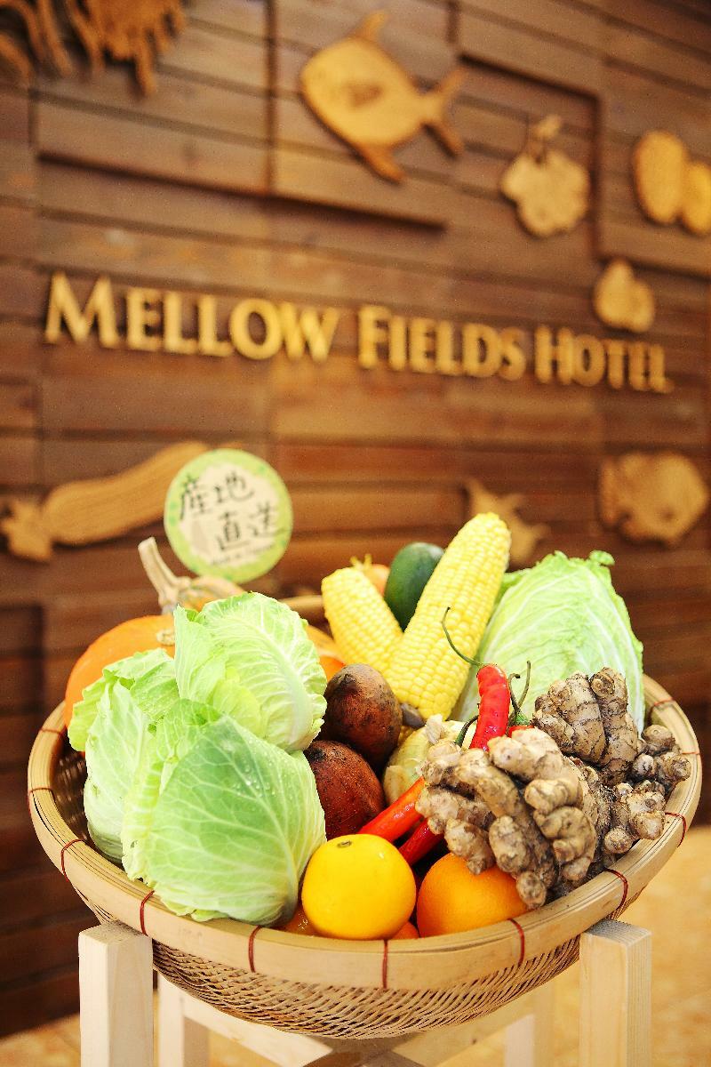 Mellow Fields Hotel Tajpej Kültér fotó